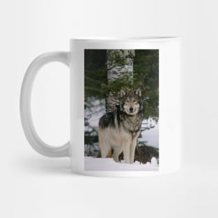 Grey wolf (Z932/0179) Mug